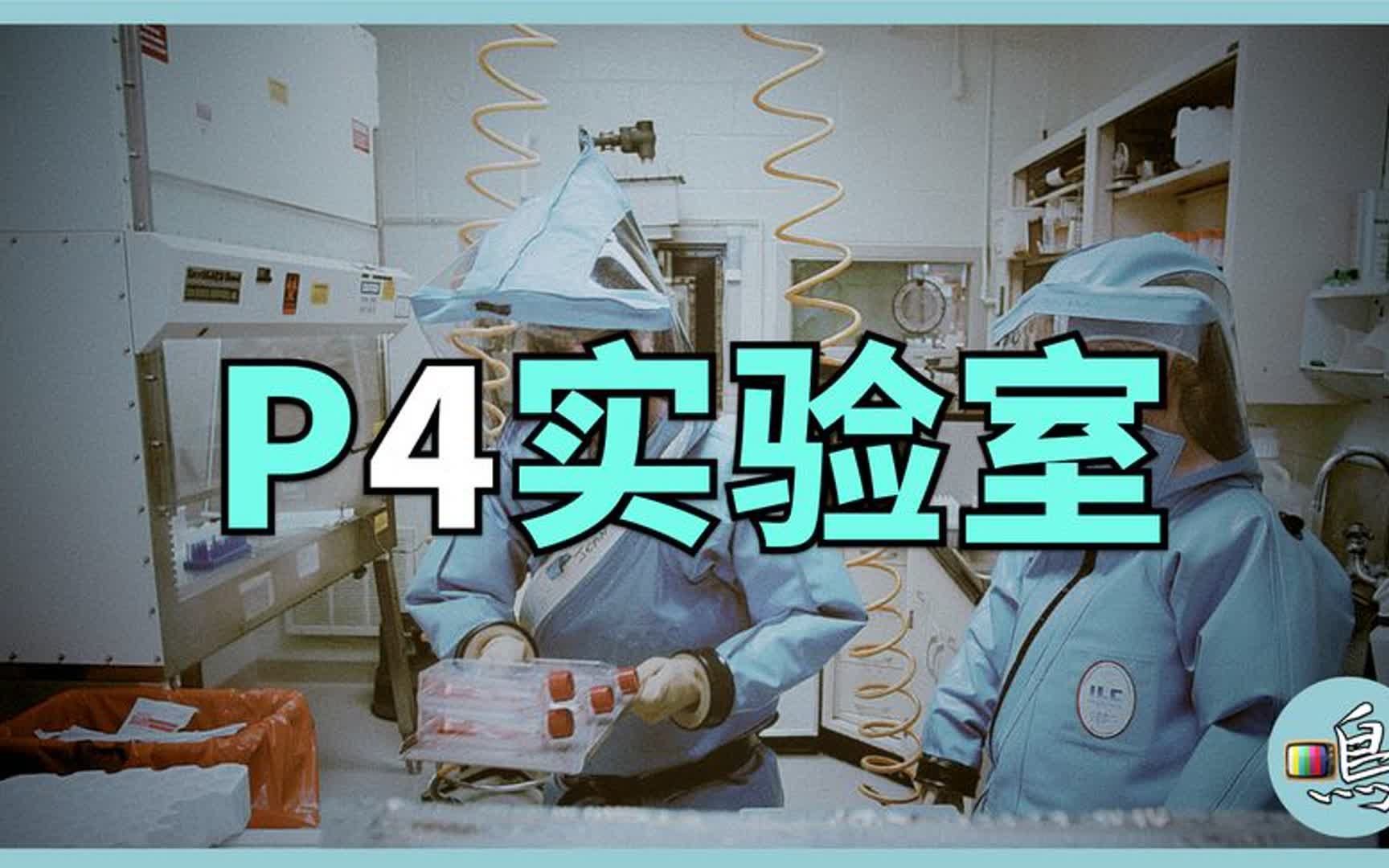 P4生物实验室有多恐怖?从P1到P4一次说清哔哩哔哩bilibili