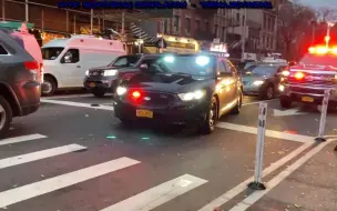 Video herunterladen: 【出警】纽约市各个街区的 NYPD 警车出警汇总