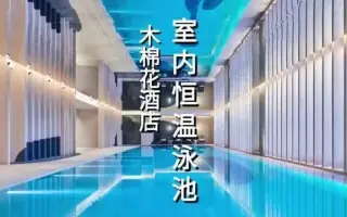 木棉花酒店 哔哩哔哩 Bilibili