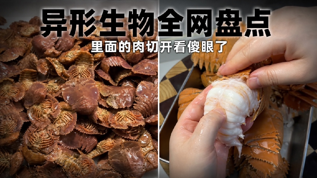 这些各种各样的虾，你知道哪些能吃吗？
