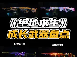 Download Video: PUBG这些成长皮肤，你最喜欢哪一款？