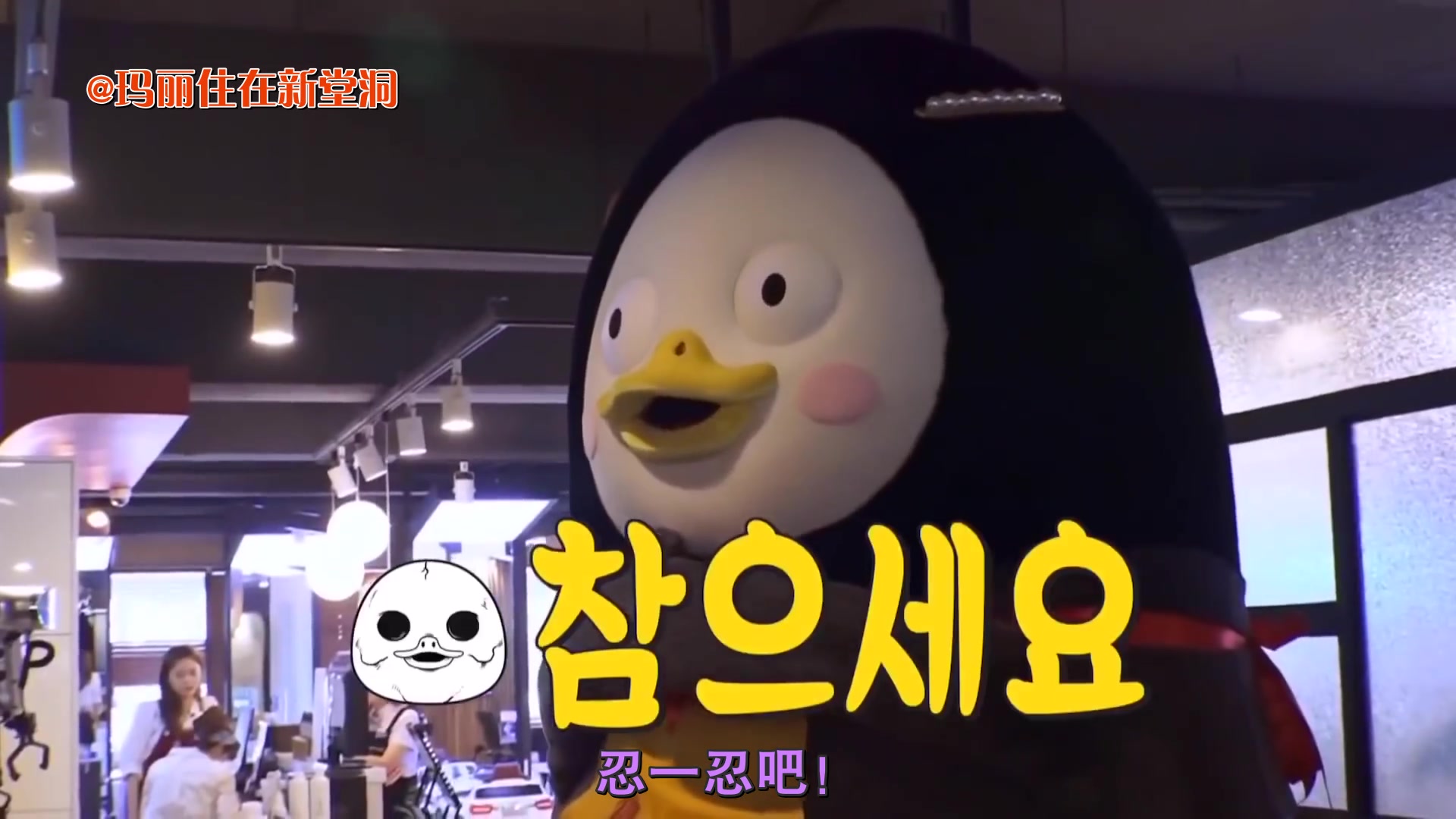 【中字】顶流爱豆胖企鹅pengsoo铁憨憨的入坑瞬间集合_哔哩哔哩_bili