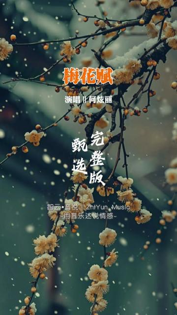 何炫丽经典京戏歌曲《梅花赋》完整版,太陶醉了,沁入心菲