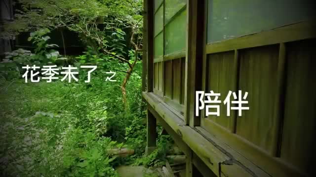 [图]【张信哲】2011花季未了之＿陪伴（劇場宣傳版 ）