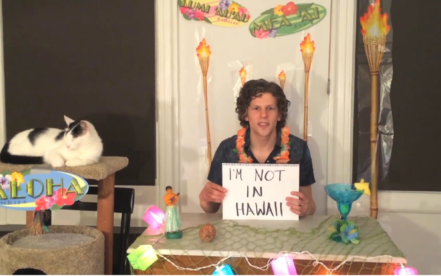 [图]【卷毛杰西】Jesse Eisenberg for -Team Cats- – The New Yorker Festi