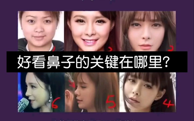 好看鼻子的关键在哪里?(上)哔哩哔哩bilibili