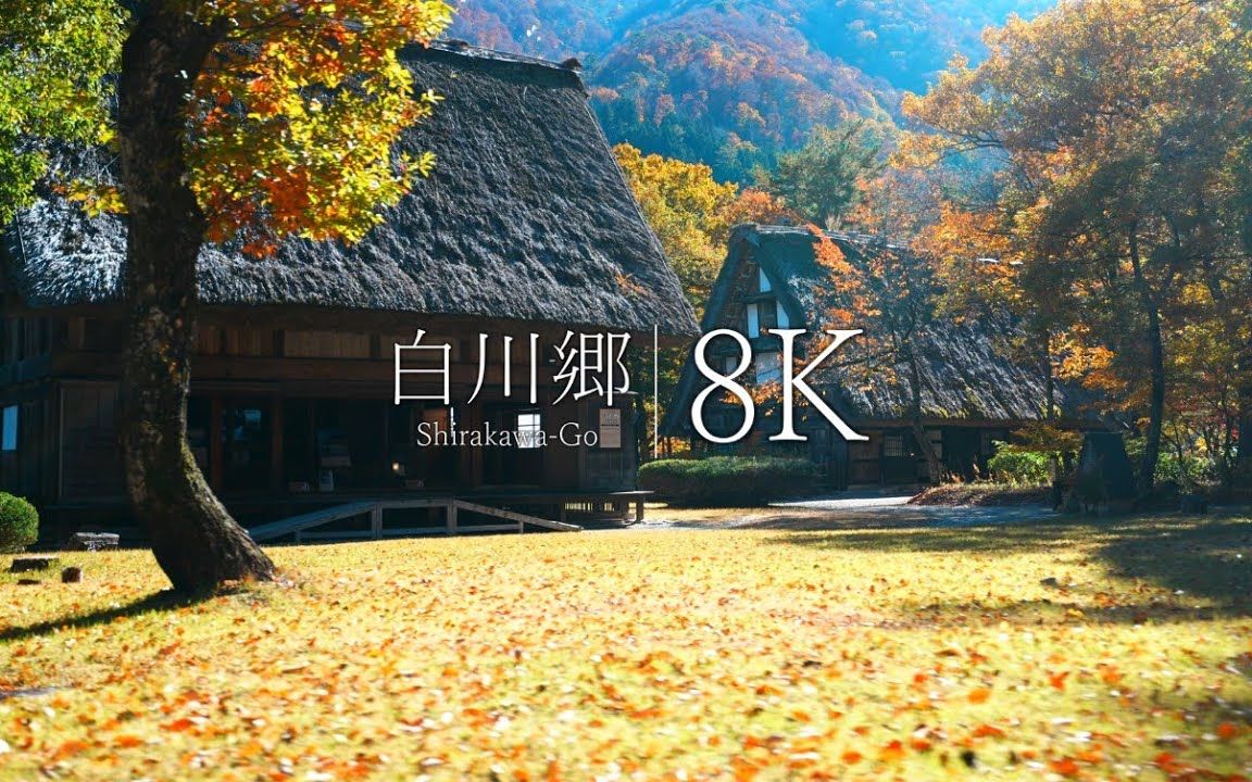 【8K风景】白川乡民家园的红叶(解压治愈工作学习背景音清晨叫醒夜晚助眠)哔哩哔哩bilibili