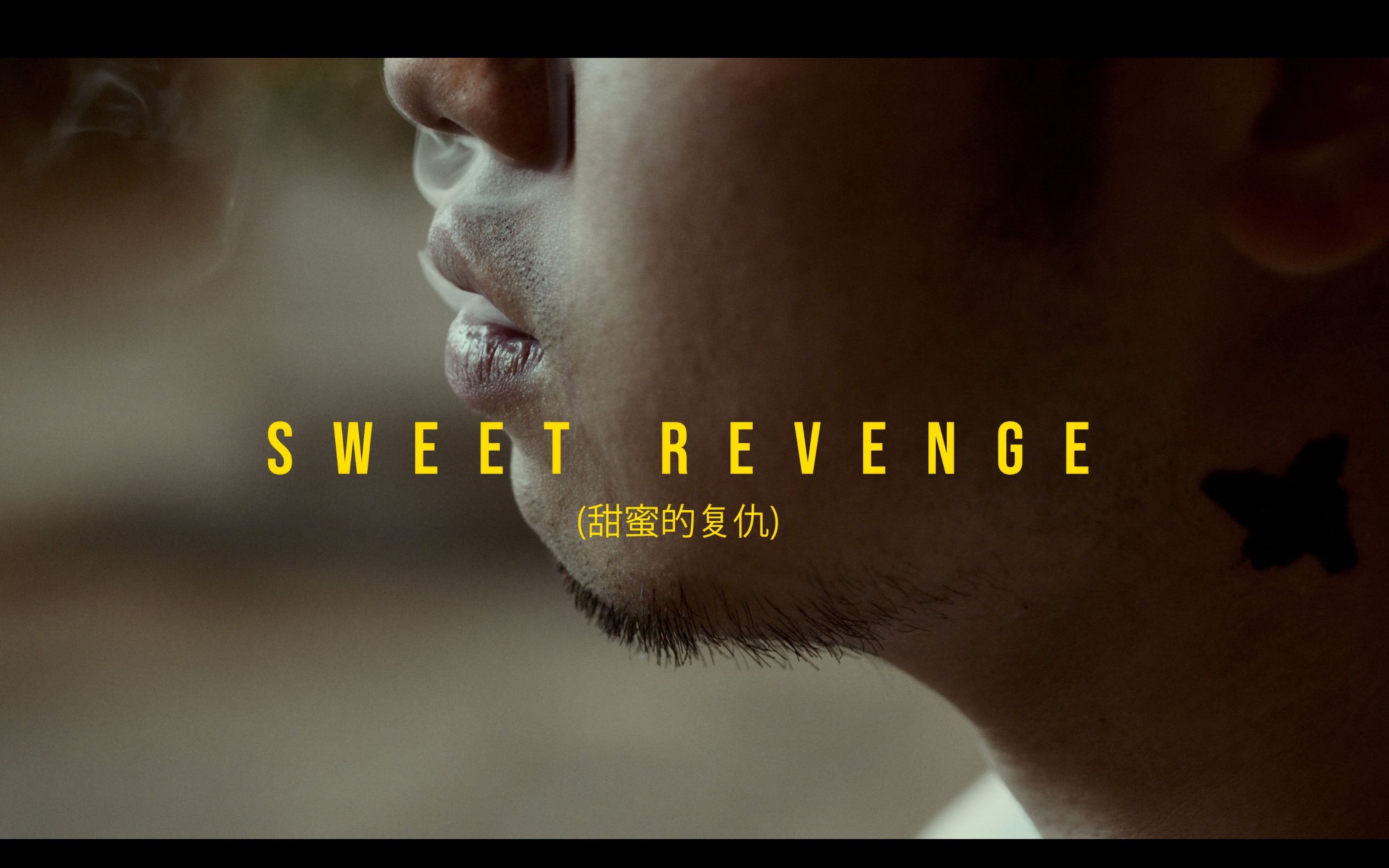 [图]Sweet Revenge （甜蜜的复仇）A Just Tired （我困了）-- Official Music Video