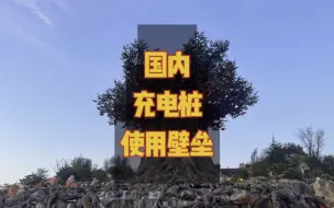 Descargar video: 奥迪的充电桩不让用，蔚来的充电桩有损坏，国内的充电桩使用壁垒就是如此的凸显