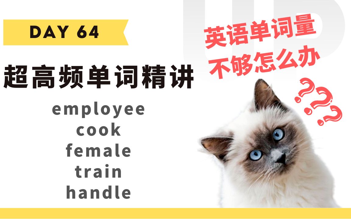 英语单词精讲Day 64 – employee, cook, female, train, handle哔哩哔哩bilibili