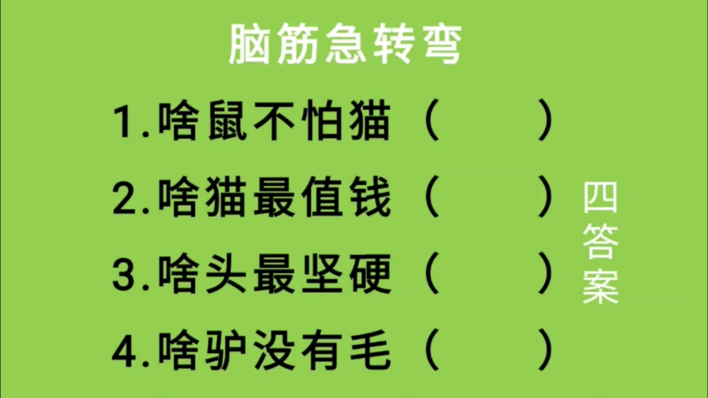 脑筋急转弯:啥鼠不怕猫、啥猫最值钱、啥头最坚硬、啥驴没有毛都是什么答案?哔哩哔哩bilibili