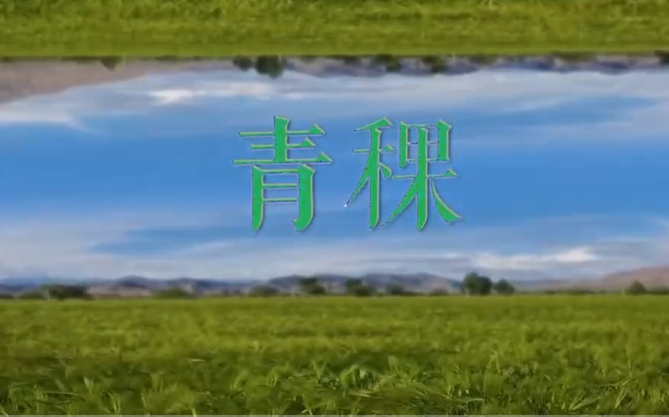 【央视】纪录片《青稞》哔哩哔哩bilibili