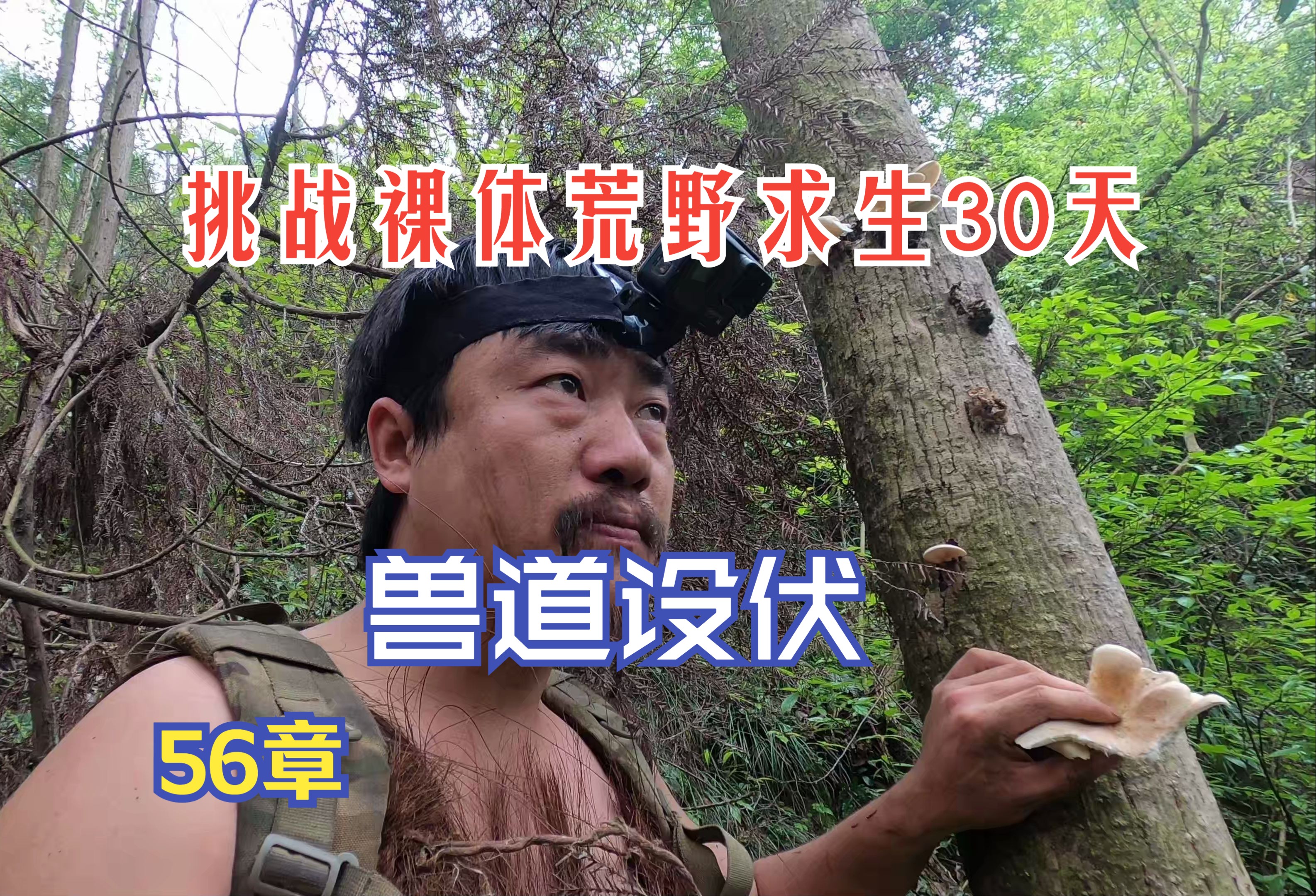 追踪野猪,关口设伏 |求生武陵山(56)番外篇33日下哔哩哔哩bilibili