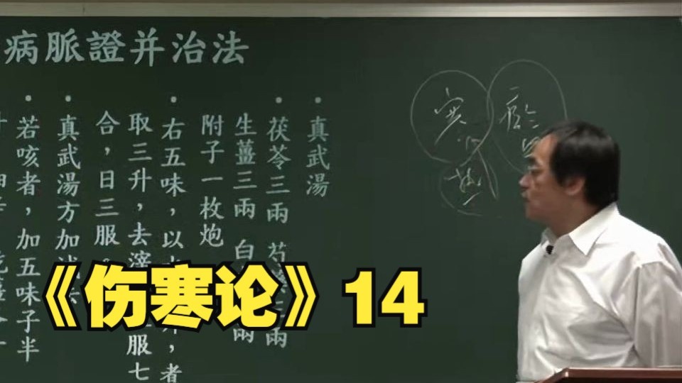 倪海厦《伤寒论》14
