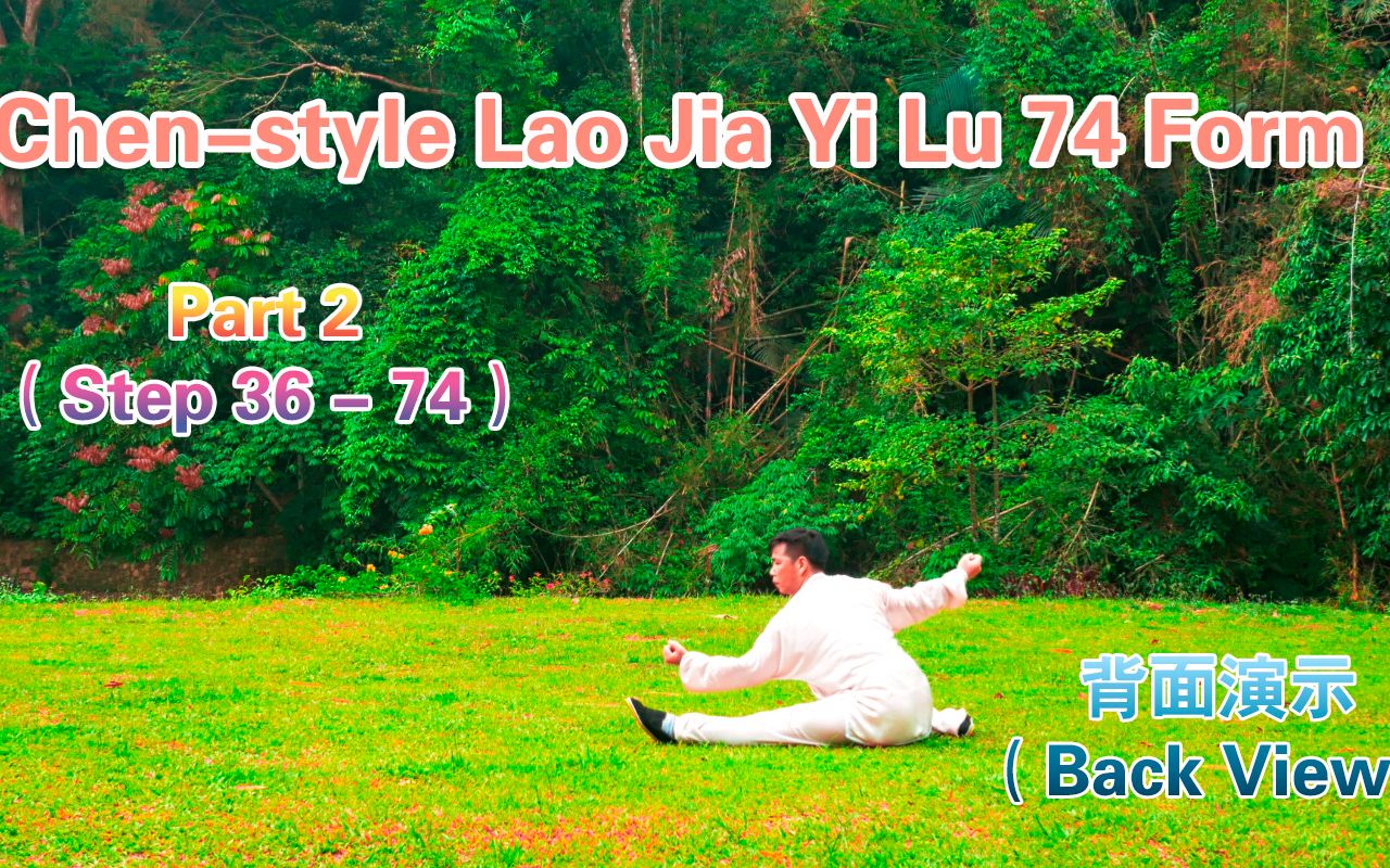 [图]陈氏太极老架一路74 (背面) 下集 Chen-style Tai Chi Lao Jia Yi Lu 74 Form (Back View) Part2