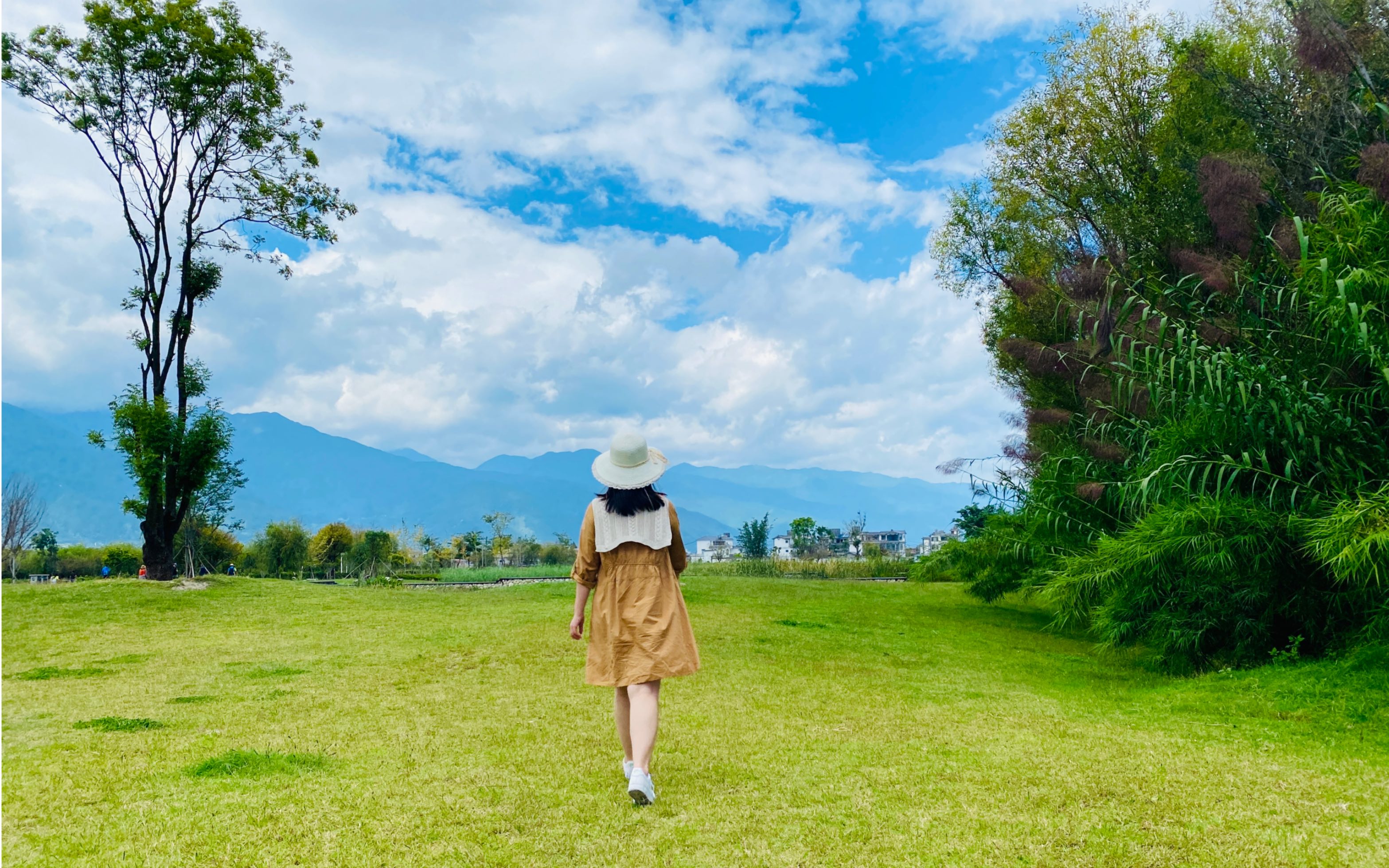与刘总的第一次远途旅行之云南