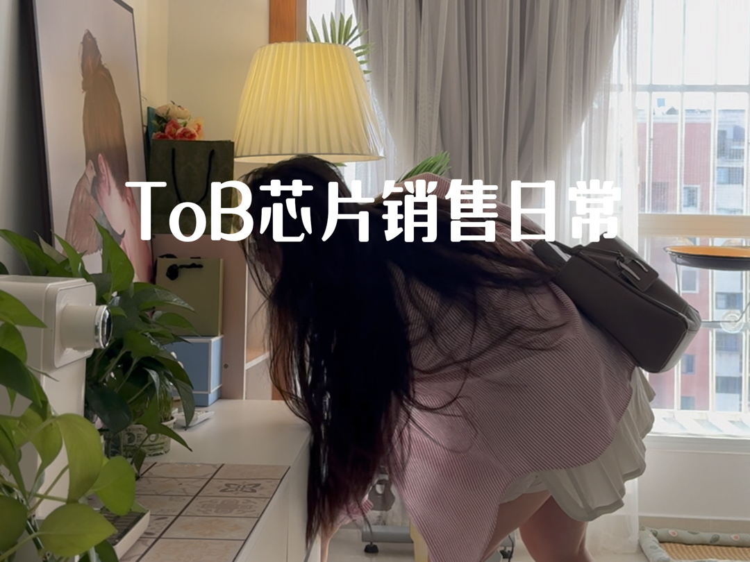 ToB芯片销售9个月,慢慢在适应和接受哔哩哔哩bilibili