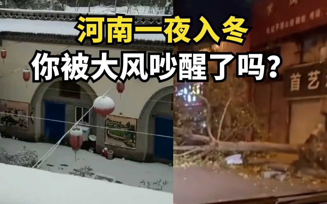 你被大风吵醒了吗?河南一夜入冬,大风后多地出现降雪哔哩哔哩bilibili