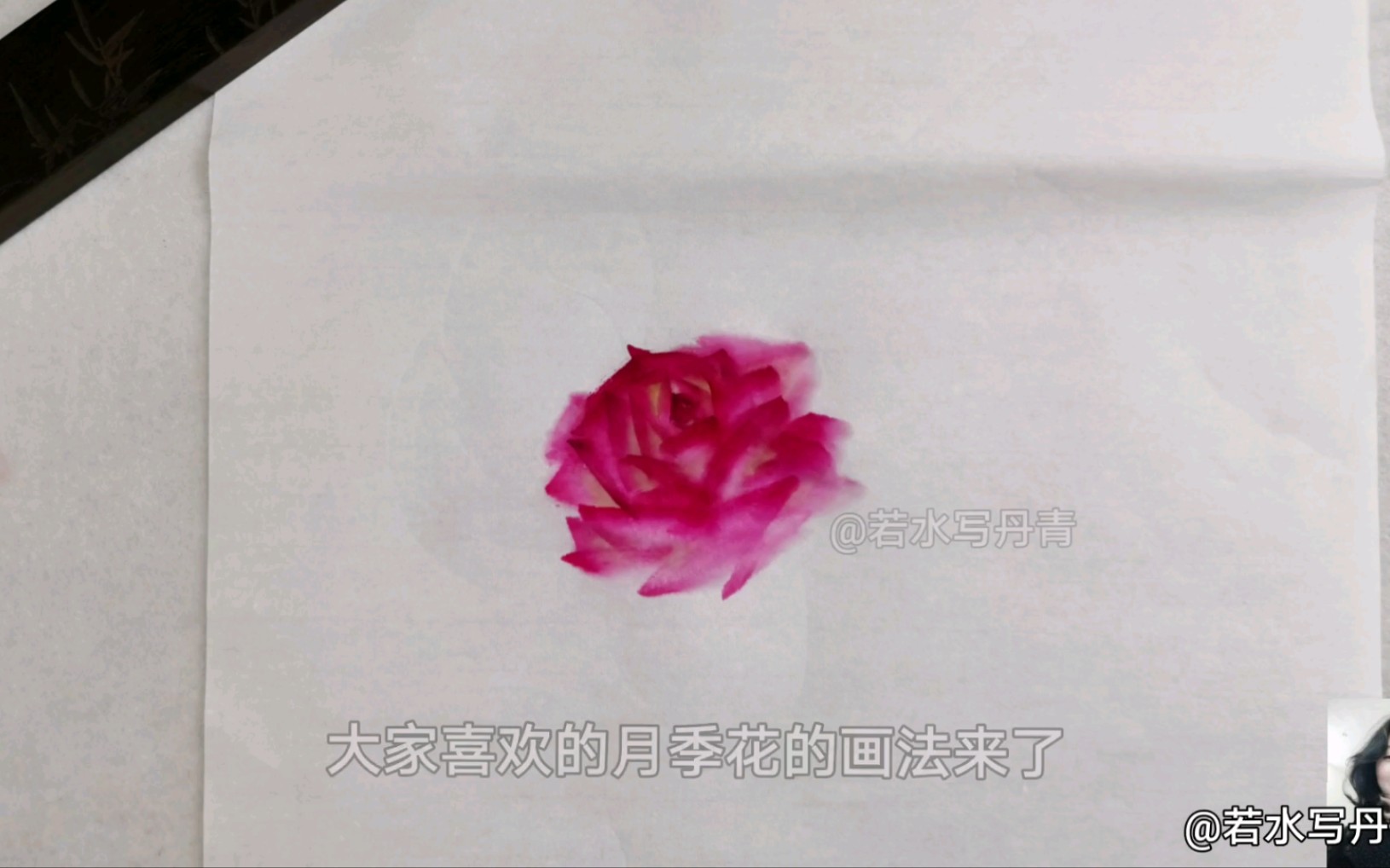 国画花鸟画月季花画法教程一哔哩哔哩bilibili