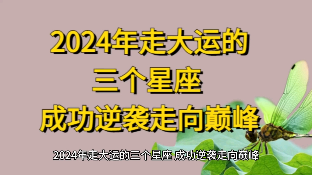 2024年走大运的三个星座 成功逆袭走向巅峰哔哩哔哩bilibili