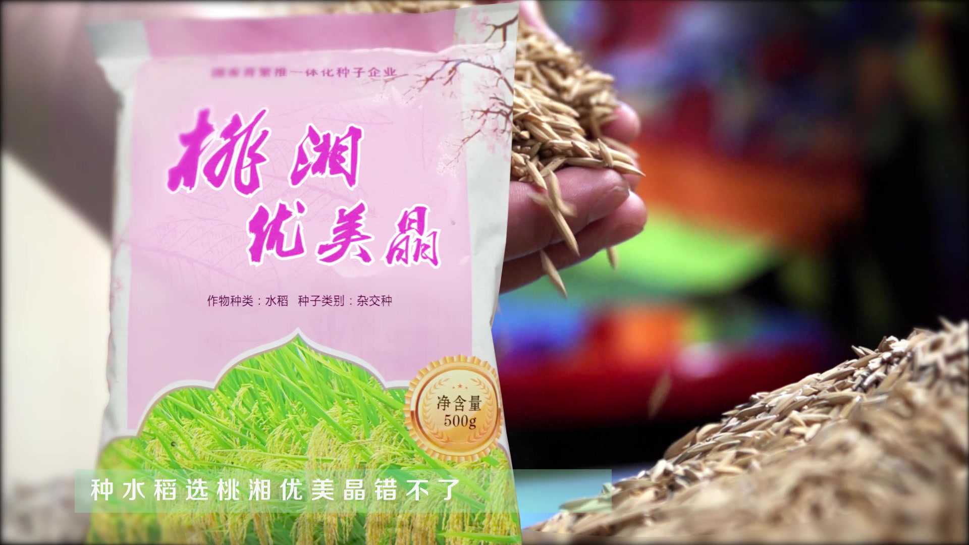 桃湘优美晶
