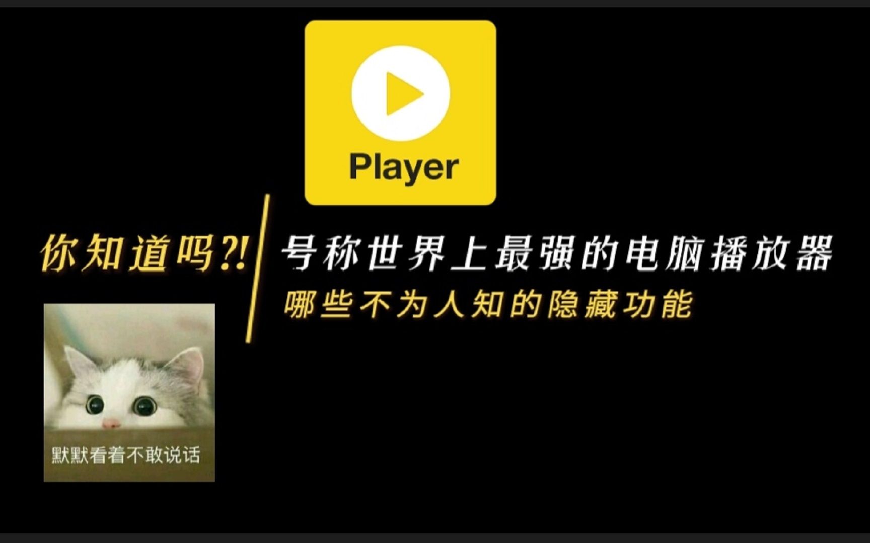 发现电脑端播放神器PotPlayer的隐藏功能,免费的就是香!哔哩哔哩bilibili