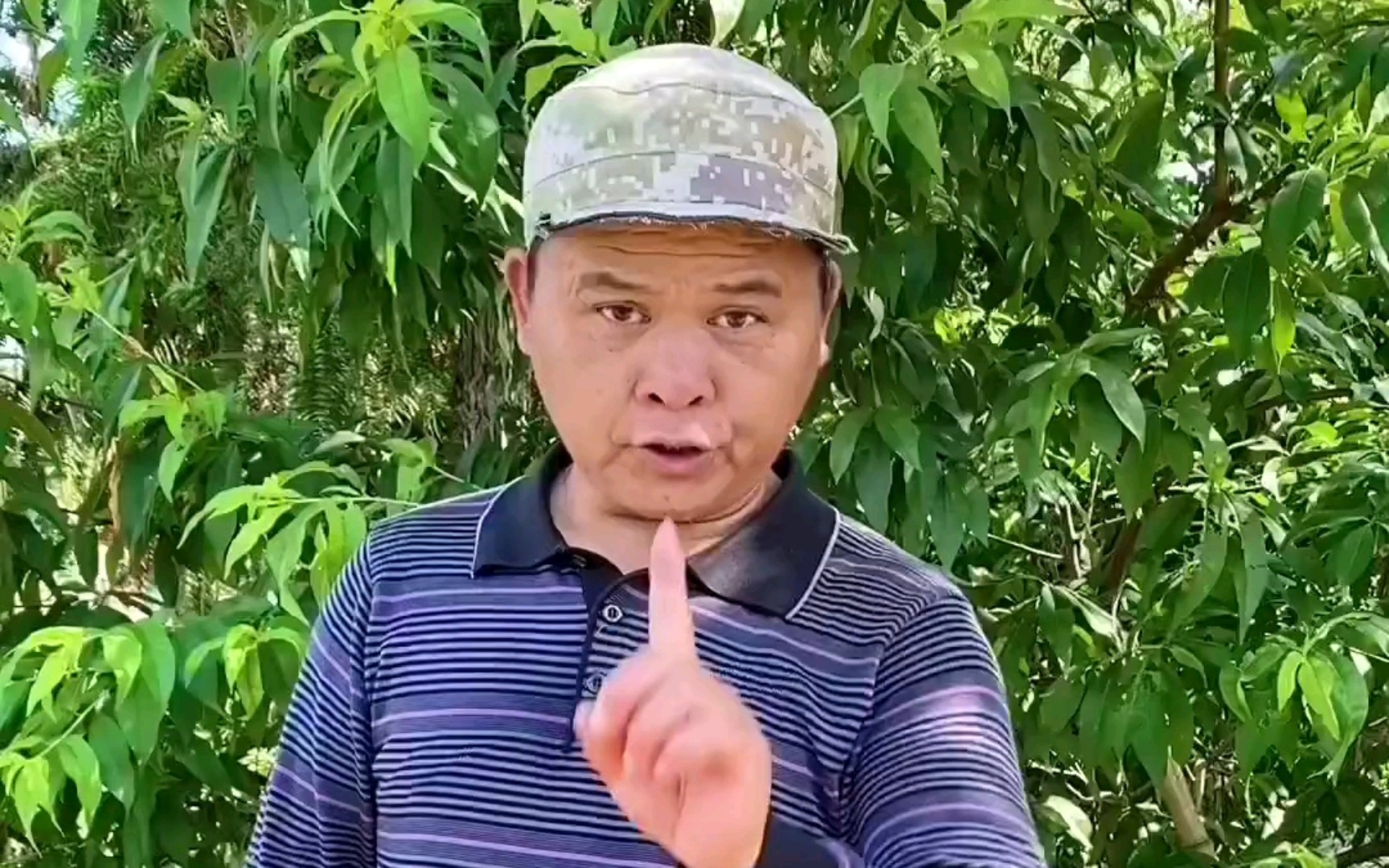 病虫害防大于治.等它们发生了再搞,起码植物已经受到了伤害!#病虫害防治 #杀虫剂 #噻虫高氯氟哔哩哔哩bilibili