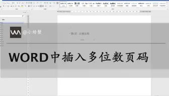 WROD文档中插入二位数、三位数页码