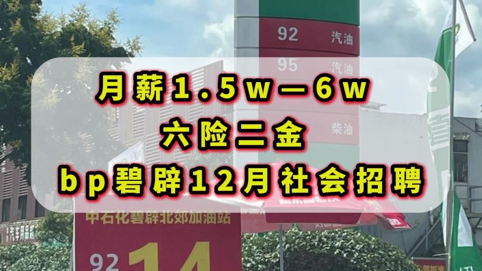 13薪,955周末双休,上下班不打卡,远程工作,股票福利,基本工资,员工持股计划哔哩哔哩bilibili