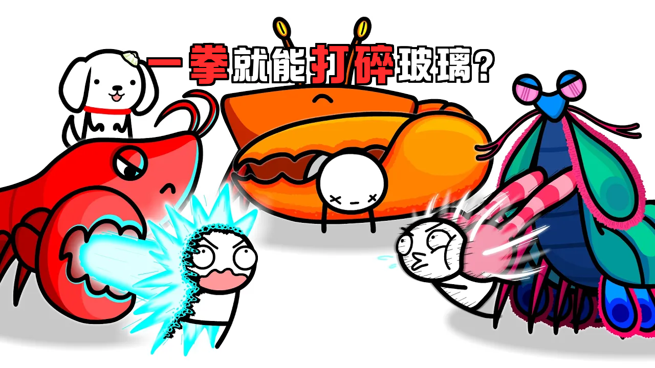 从螳螂虾的“子弹拳”到椰子蟹的“碎骨钳”