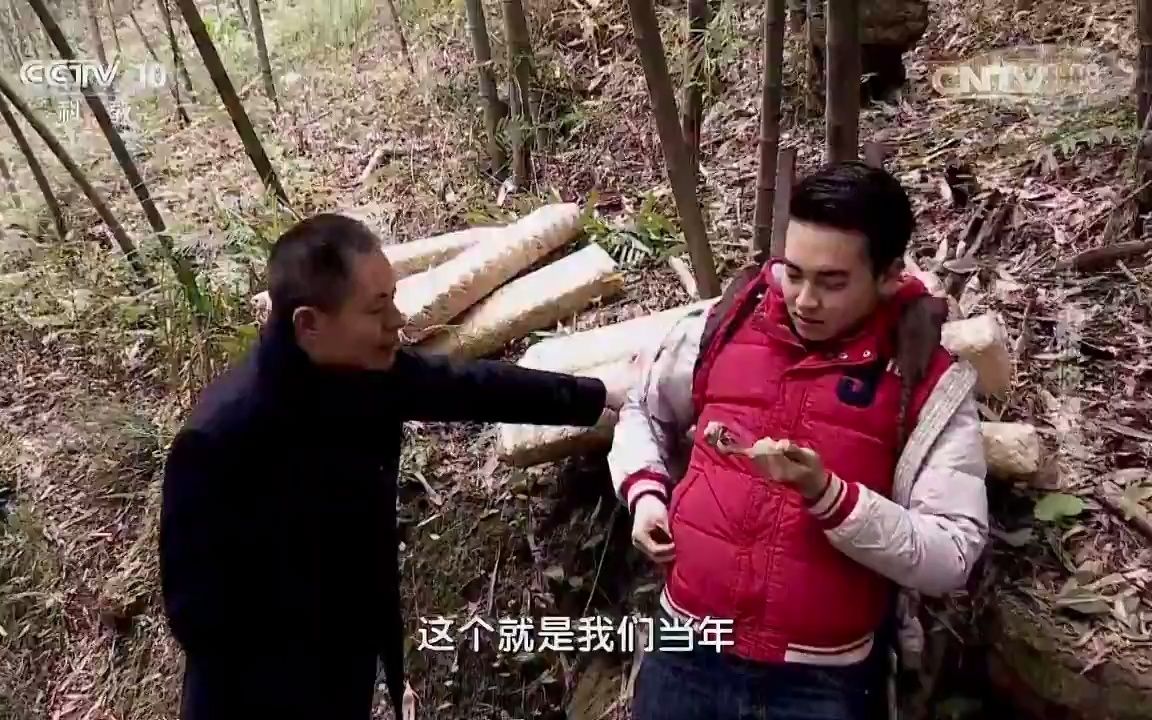 【中国古道系列纪录片】古道悠悠风情浓哔哩哔哩bilibili