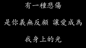听歌词 有一种悲伤 A Lin 是你的名字停留在我的过往 哔哩哔哩 つロ干杯 Bilibili