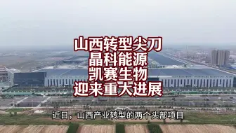 山西省产业转型突围的两个头部项目晶科能源与凯赛生物迎来了重大进展！转型重新进入快车道！