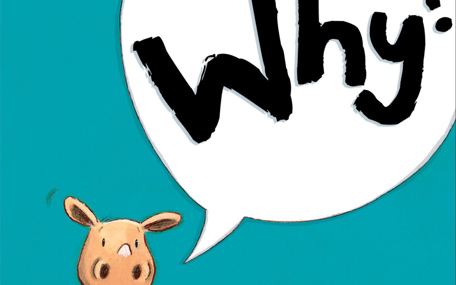 why?》儿童英语绘本故事