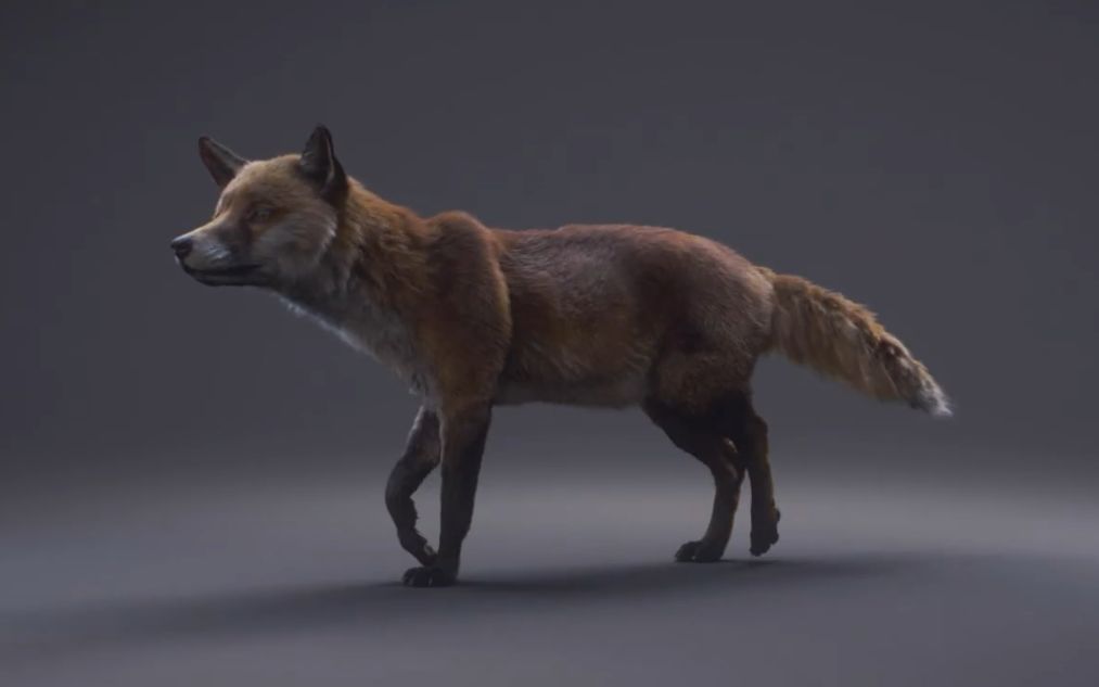 【动画参考】狐狸运动规律_哔哩哔哩_bilibili