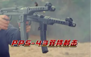 Download Video: 双持PPS-43冲锋枪射击视频