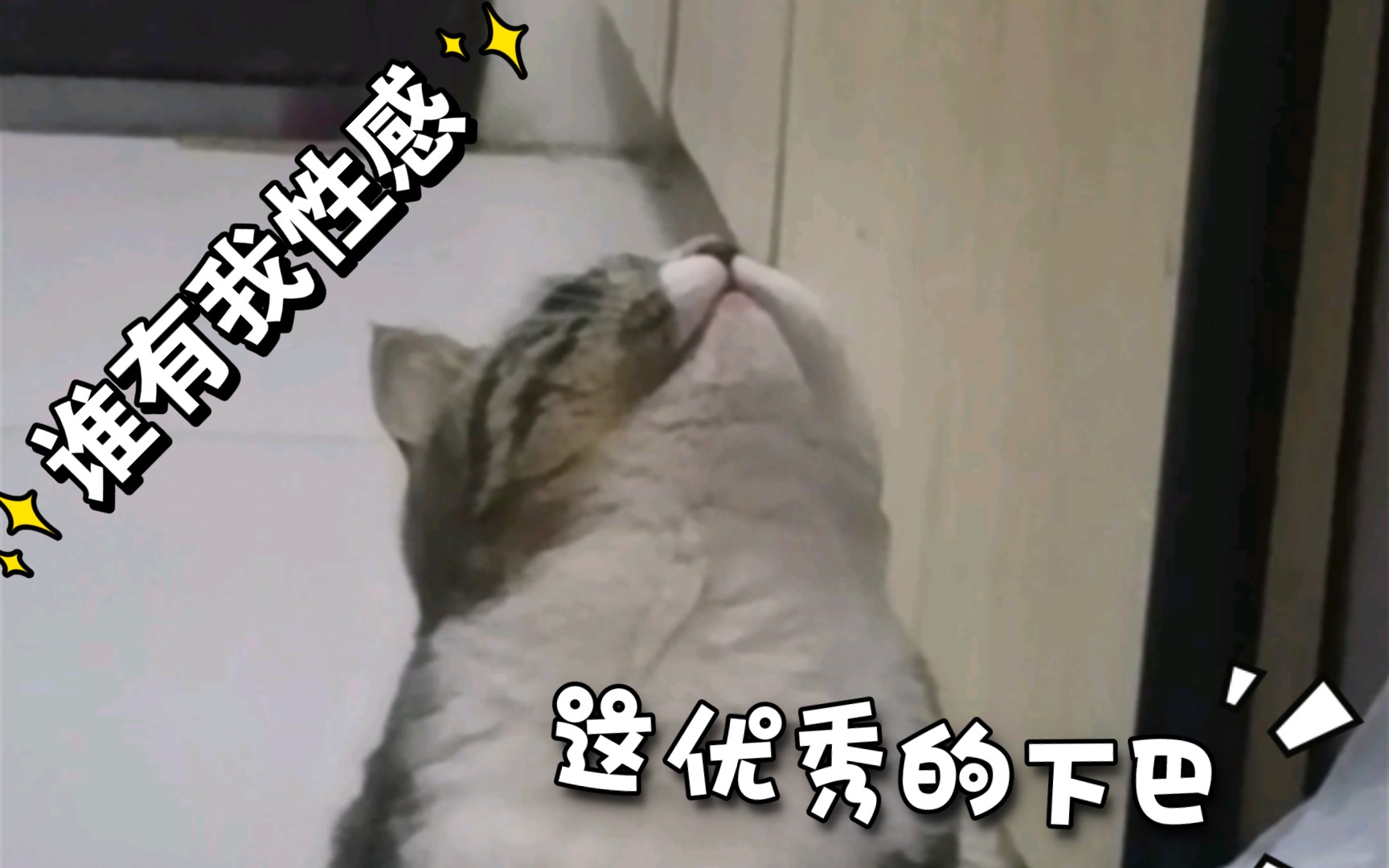 性感喵咪自嗨视频哔哩哔哩bilibili