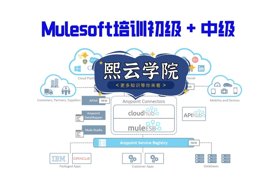 Mulesoft培训初级哔哩哔哩bilibili