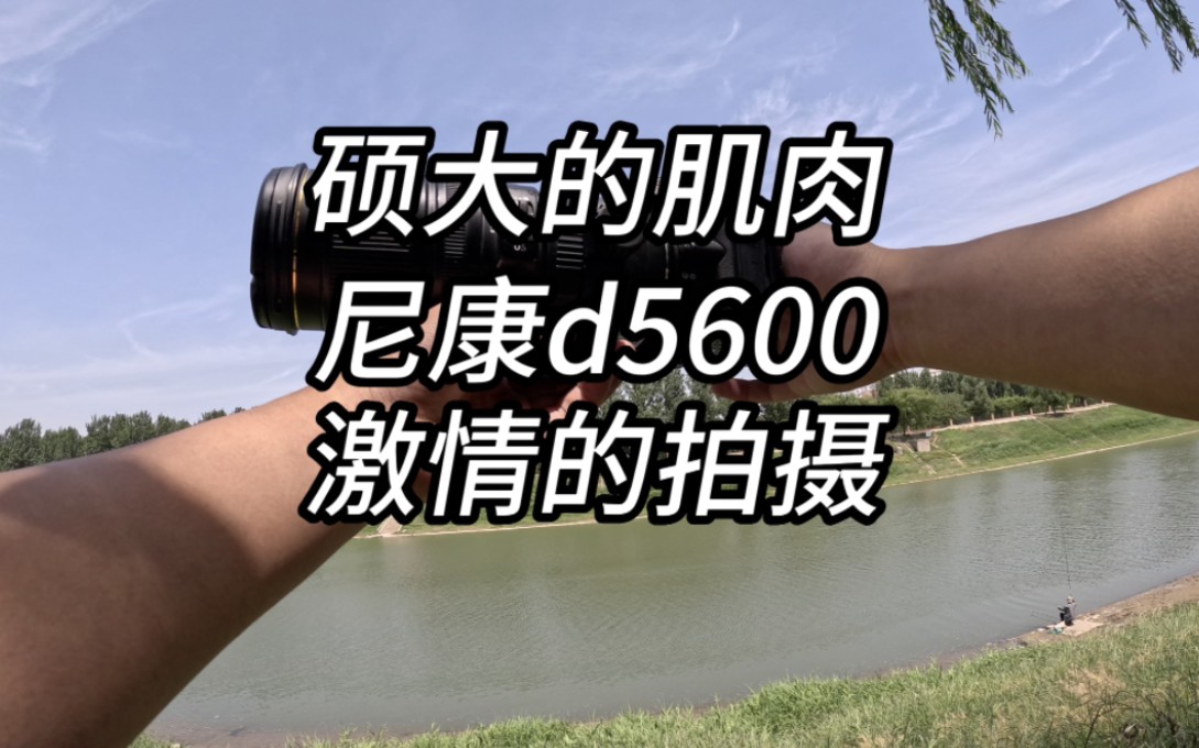 2016年末发布的尼康D5600拥有2400百万像素,39个对焦点,翻转屏触摸屏wifi传图应有尽有,接下来就是硕大的肌肉,激情的拍摄啦!哔哩哔哩bilibili