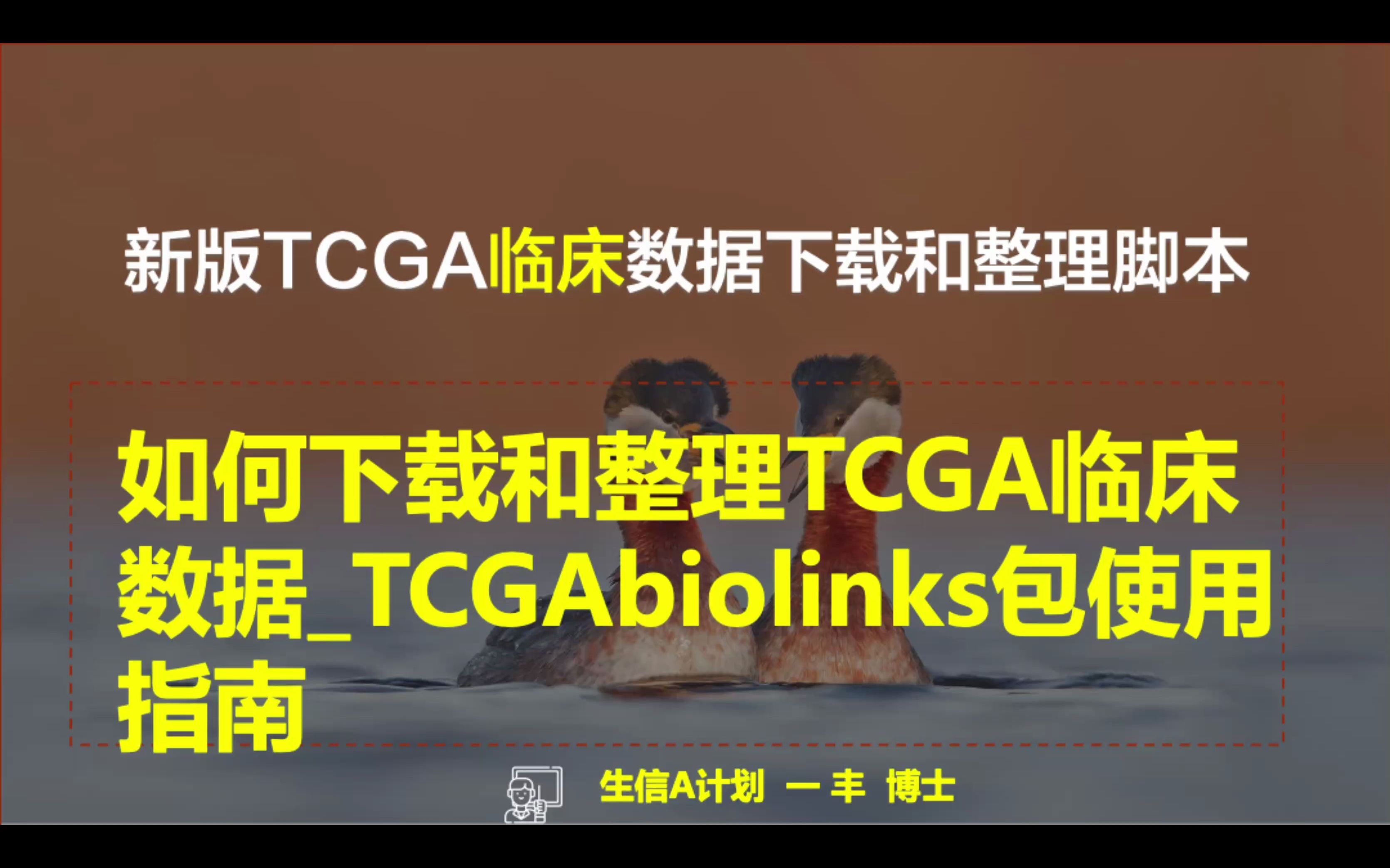 [图]如何下载和整理TCGA临床数据_TCGAbiolinks包使用指南，快速下载和整理【生信A计划】