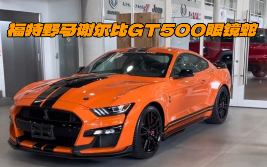 福特野马GT500眼镜蛇哔哩哔哩bilibili