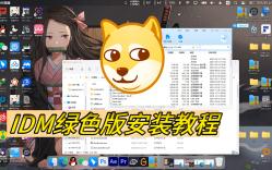 IDM绿色版哔哩哔哩bilibili