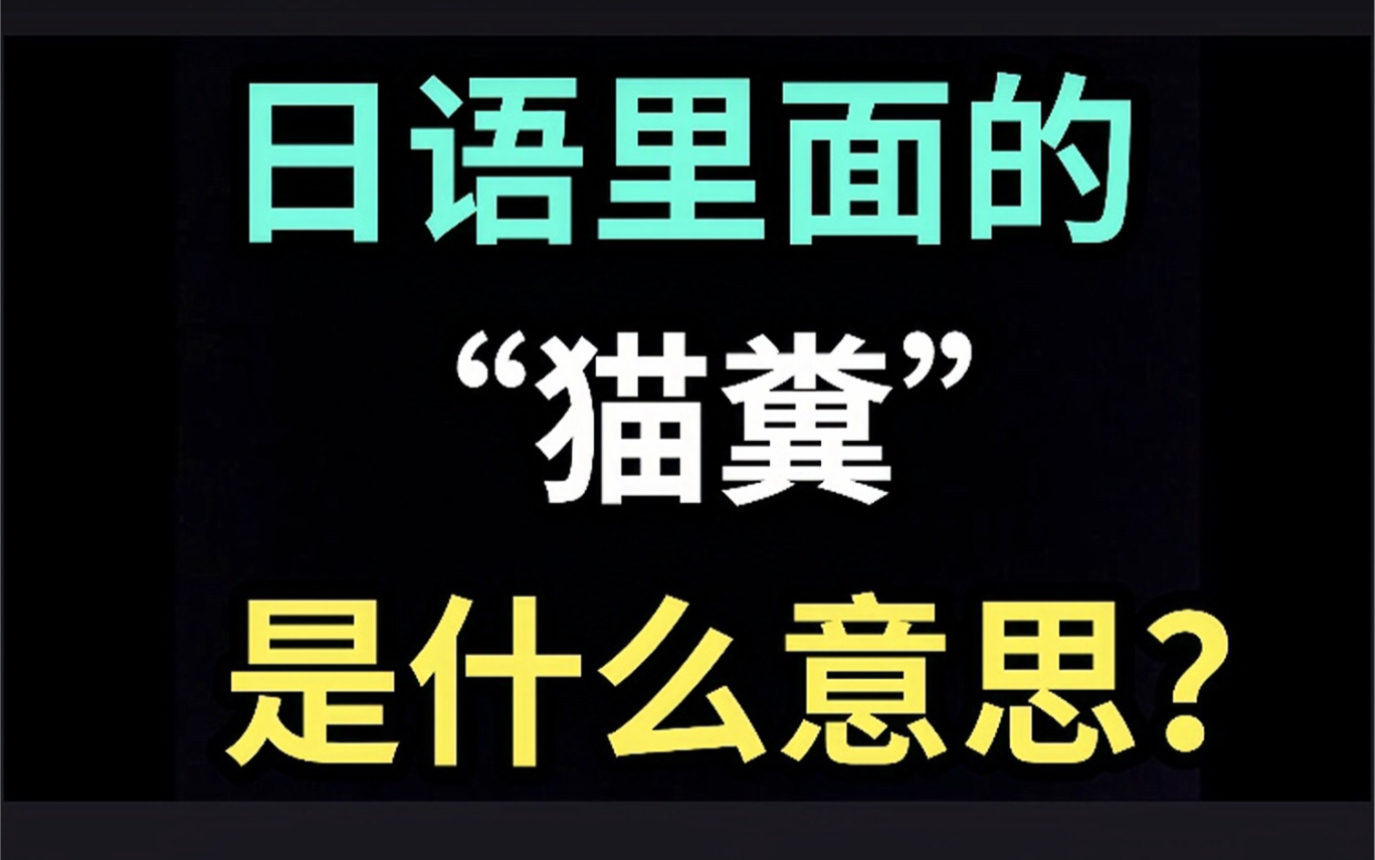 日语里的“猫粪”是什么意思?【每天一个生草日语】哔哩哔哩bilibili