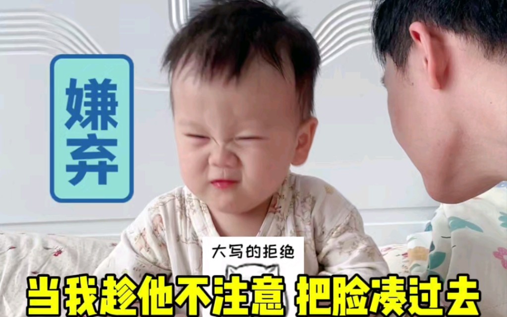 幼崽吃东西时,妈妈凑过去VS爸爸凑过去哔哩哔哩bilibili