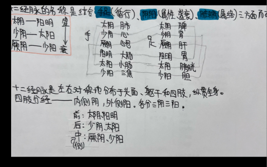 手把手教你背十二经脉循行路线,看完就懂,不会背混哔哩哔哩bilibili