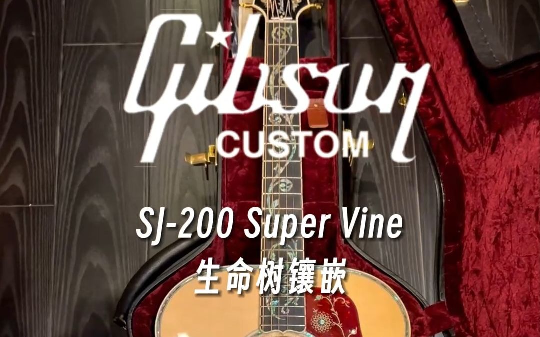 上架即秒——开箱 Gibson吉普森 SJ200 Super Vine 藤蔓镶嵌 民谣吉他 开箱分享哔哩哔哩bilibili