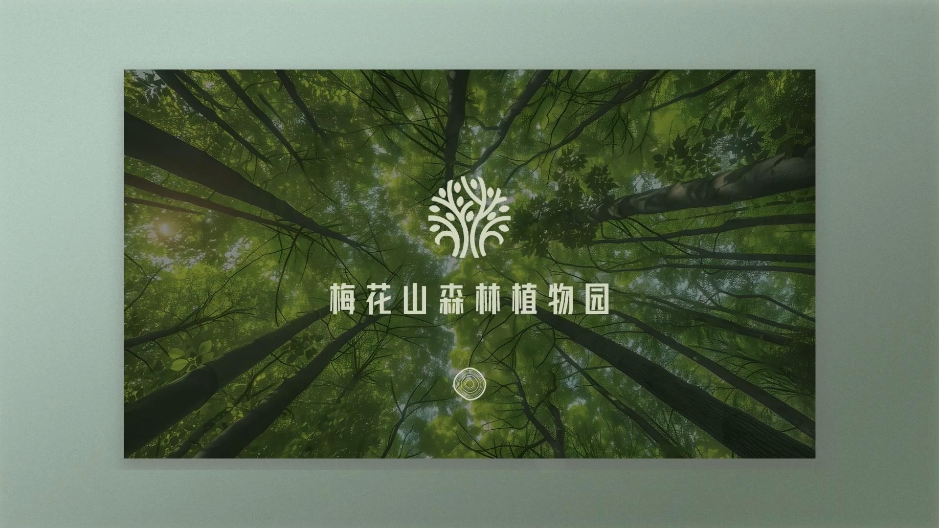 毕业设计《梅花山森林植物园》信息可视化H5|广播电视学专业毕设预告片哔哩哔哩bilibili