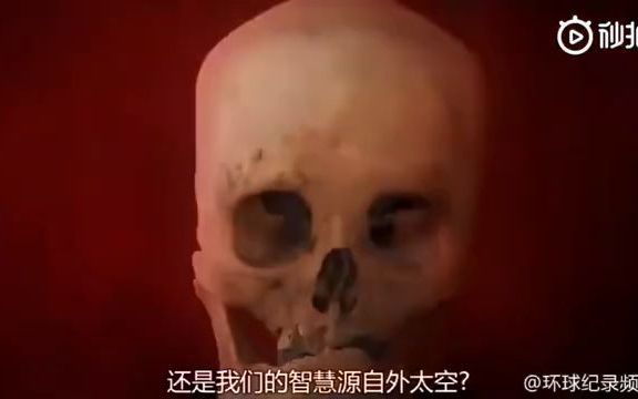 [图]外星人与人类的诞生