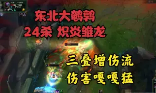 Video herunterladen: 大鹌鹑：24杀炽炎雏龙！三叠增伤流！伤害嘎嘎猛！溅射随便杀！