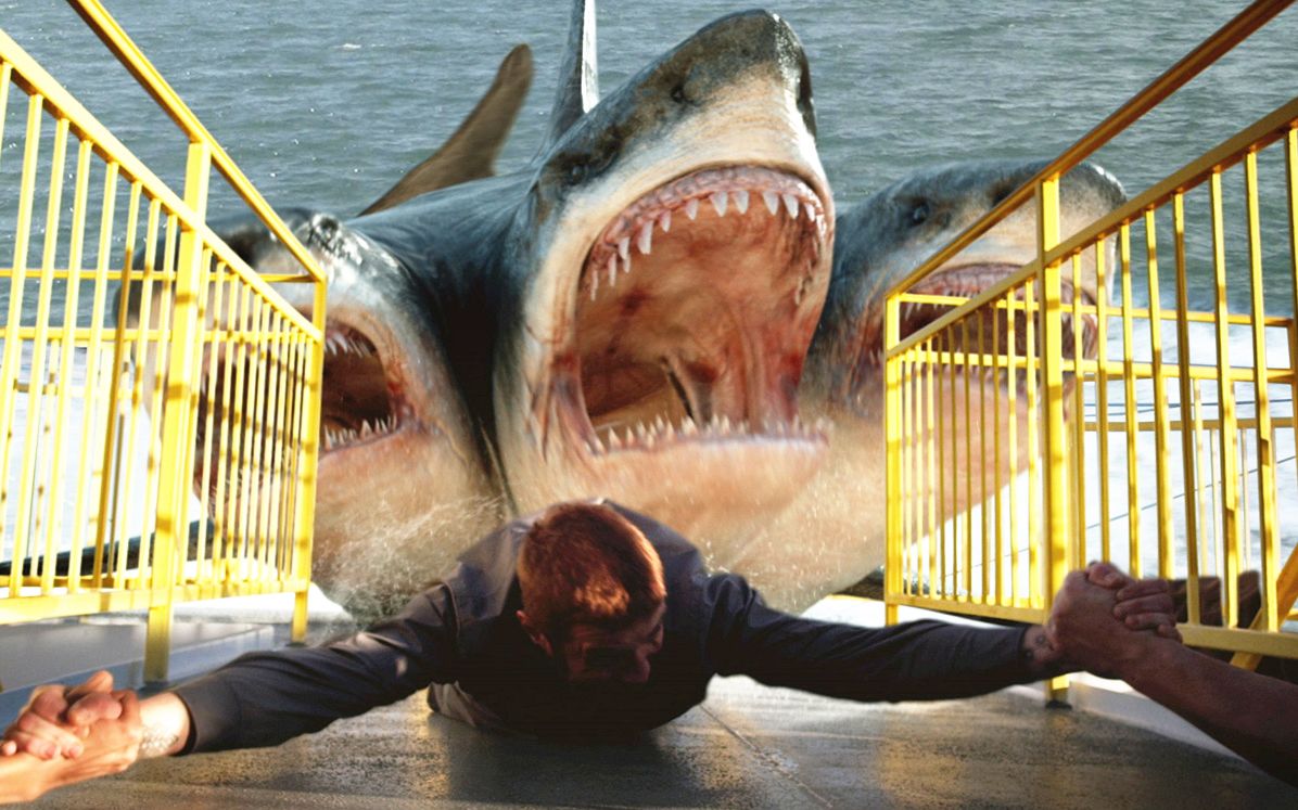 世界三大危险鲨鱼图片